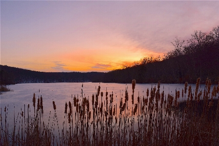 Landscape water nature horizon Photo