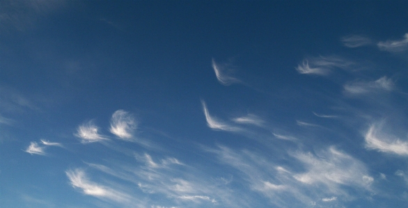 Wing cloud sky sunlight Photo