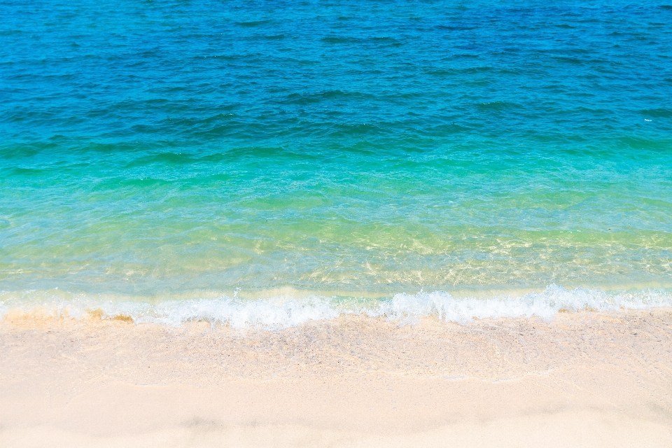 Strand meer küste wasser