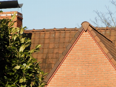 Tree fence house roof Photo