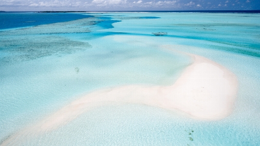 Beach sea coast sand Photo