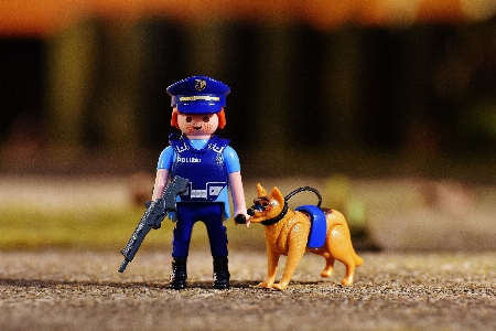 Dog toy playmobil sports Photo