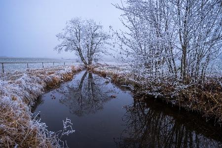 Landscape tree water nature Photo