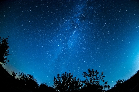 Forest sky night star Photo