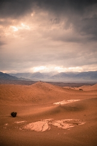 Landscape sea sand horizon Photo