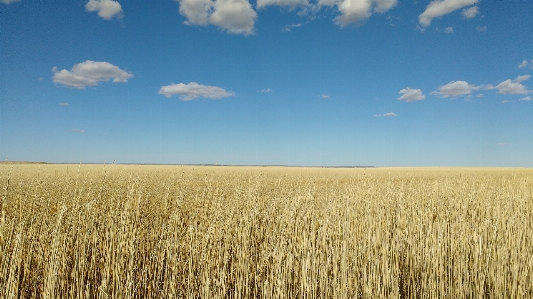 Landscape nature grass outdoor Photo