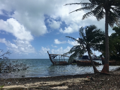 Beach landscape sea coast Photo