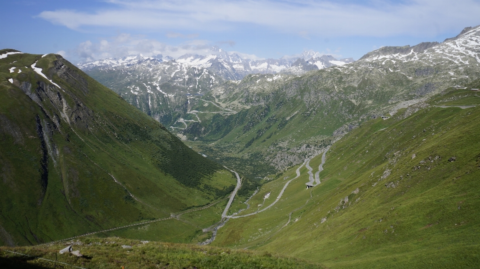 Landscape nature mountain meadow