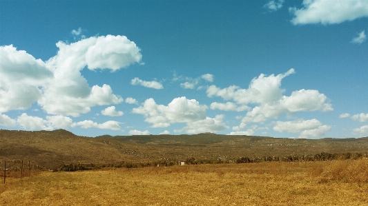 Landscape nature grass horizon Photo