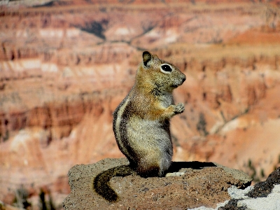 Nature wilderness cute profile Photo