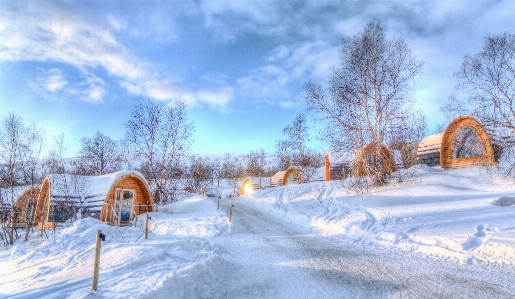 Landscape nature outdoor snow Photo