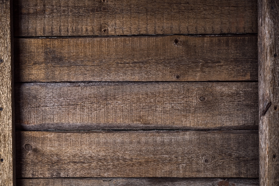 Tree fence wood texture