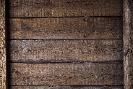 Tree fence wood texture Photo