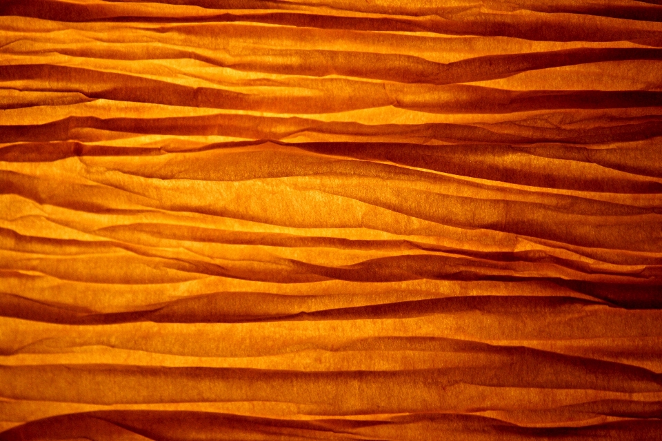 Abstract wood texture leaf