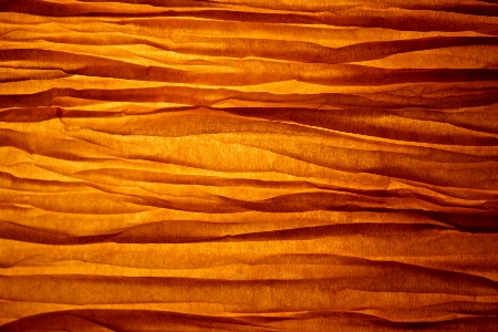 Abstract wood texture leaf Photo