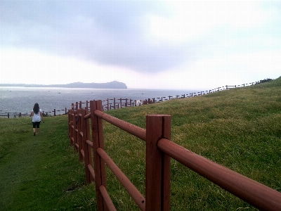 Sea coast grass horizon Photo