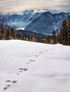 Landscape nature mountain snow Photo