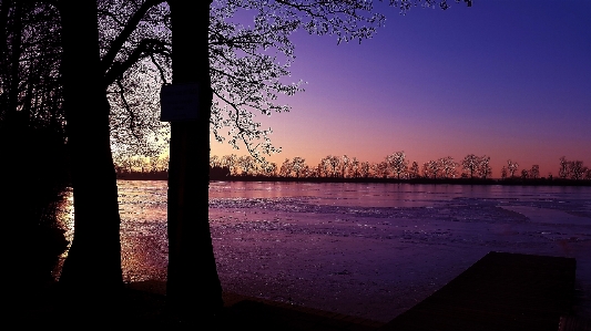 Landscape tree water nature Photo