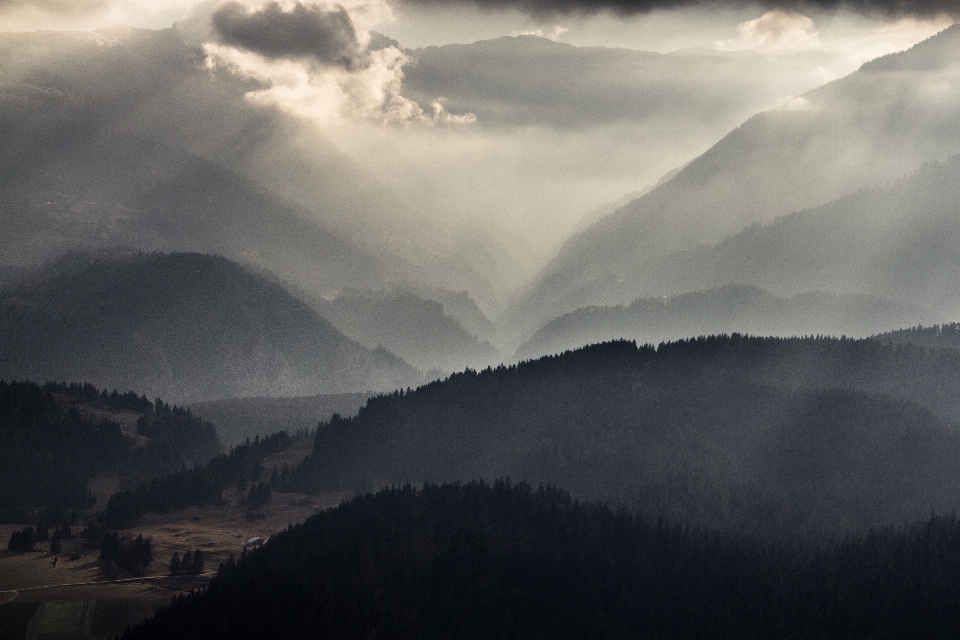 Landscape nature forest silhouette