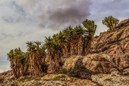 Beach landscape sea coast Photo