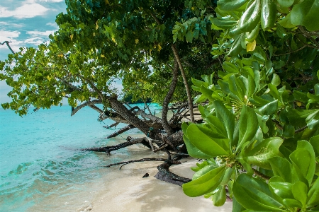 Beach landscape sea coast Photo