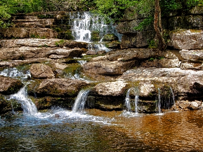 Water nature forest rock Photo