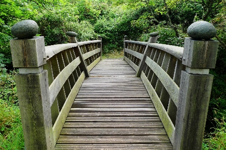 Landscape nature forest outdoor Photo