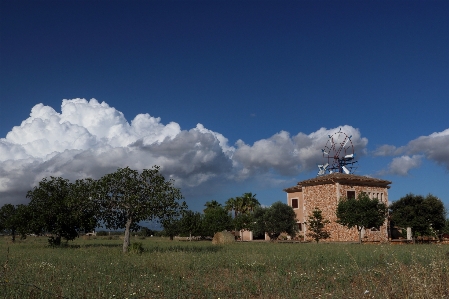 Landscape tree horizon cloud Photo