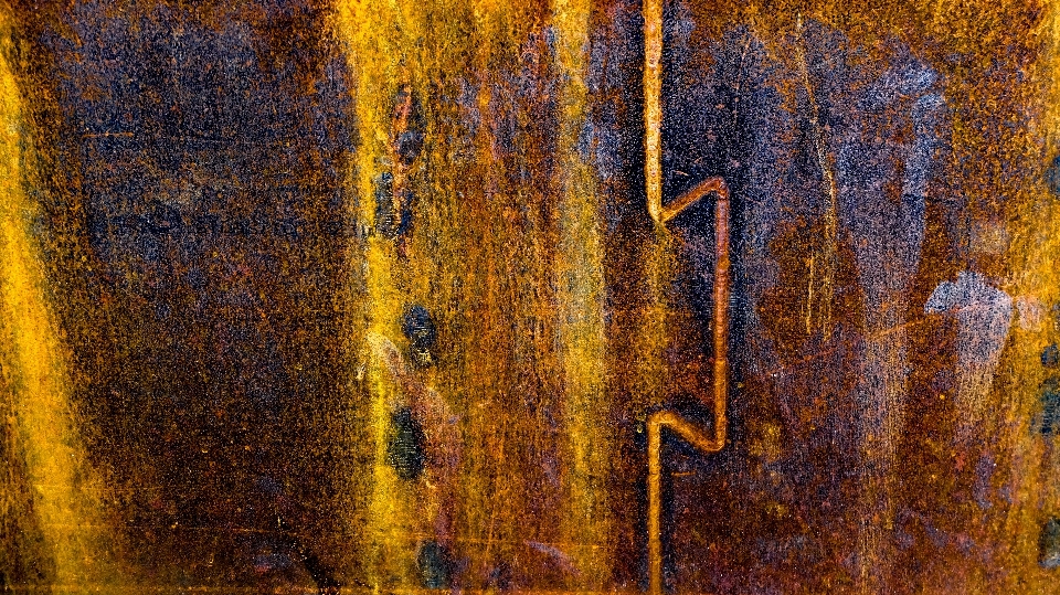 árbol madera textura hoja