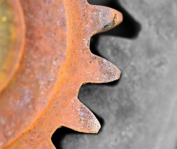 Foto Trabajar madera tecnología hoja