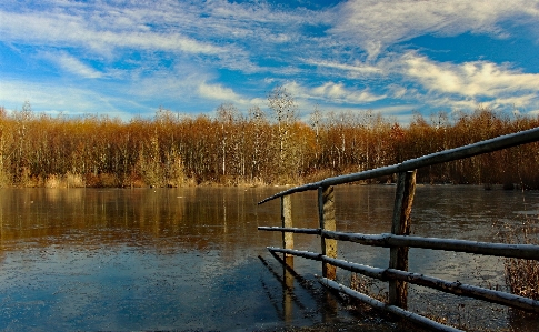 Landscape sea tree water Photo