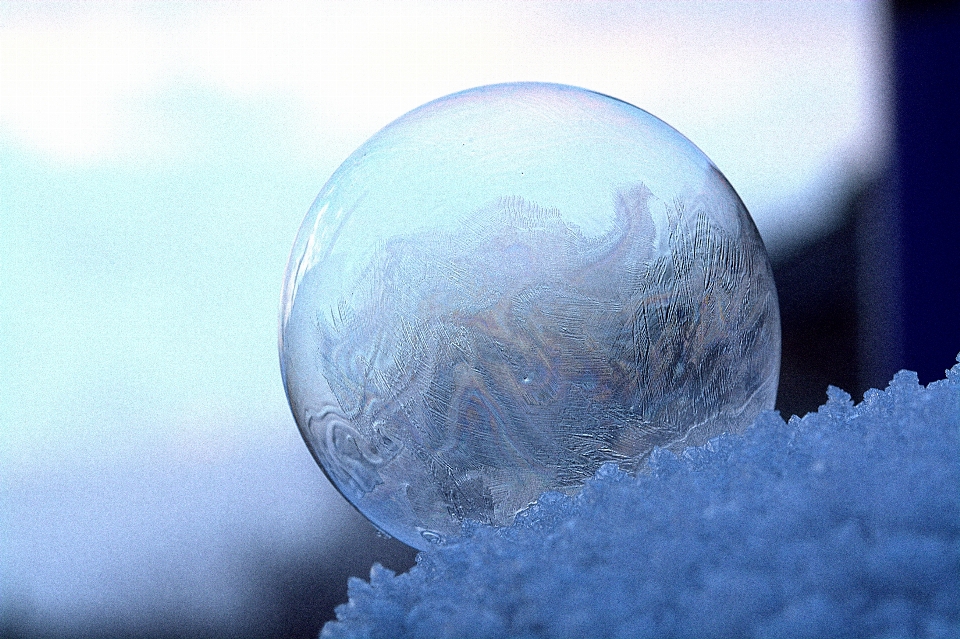 雪 寒冷的 光 结构