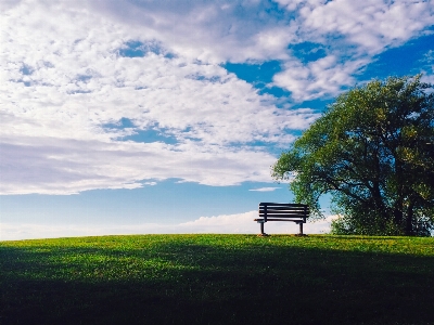 Landscape sea tree nature Photo