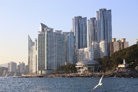 海 地平线 dock 建筑学 照片