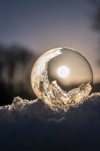 Foto Paesaggio natura nevicare freddo