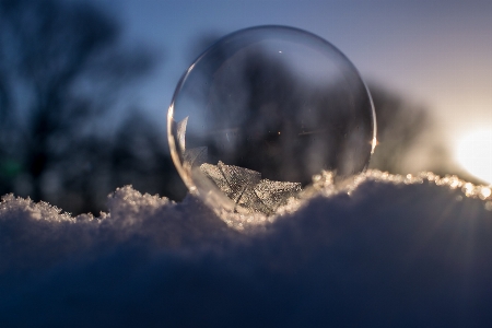 風景 自然 雪 寒い 写真