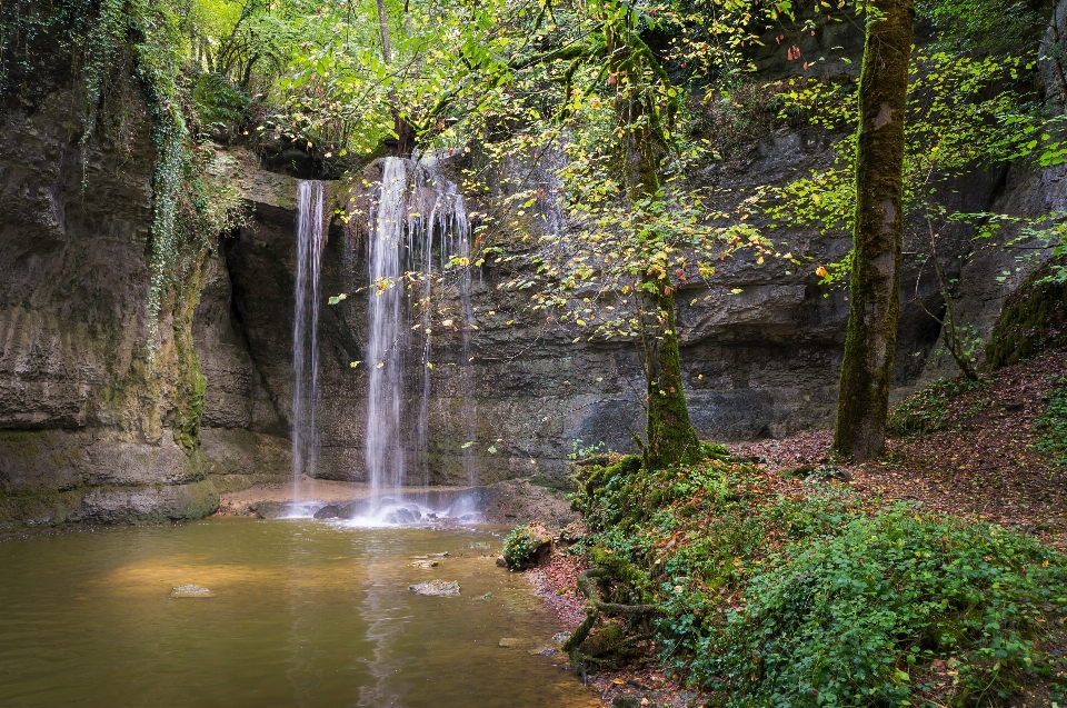 Paesaggio albero acqua natura