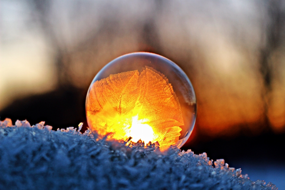 śnieg zima światło fotografia