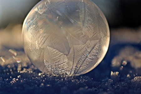 Foto Nevicare leggero fotografia luce del sole