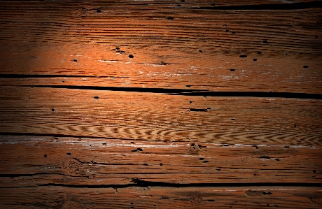 Nature structure wood grain Photo