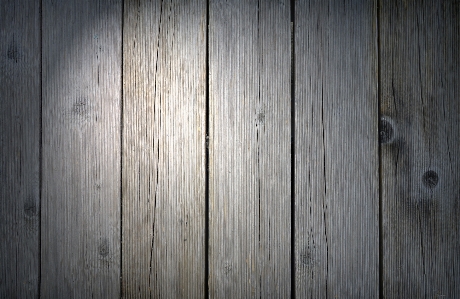 Nature structure wood grain Photo