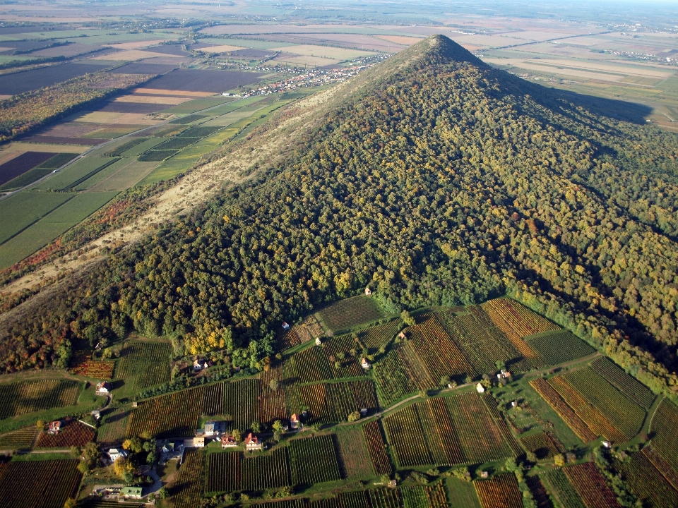 Paisaje bosque montaña uva