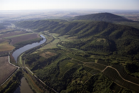 Landscape nature forest horizon Photo