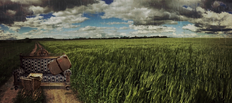 Landscape grass field farm