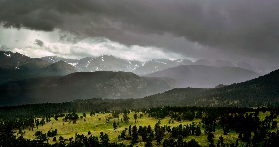 Landscape nature forest wilderness Photo