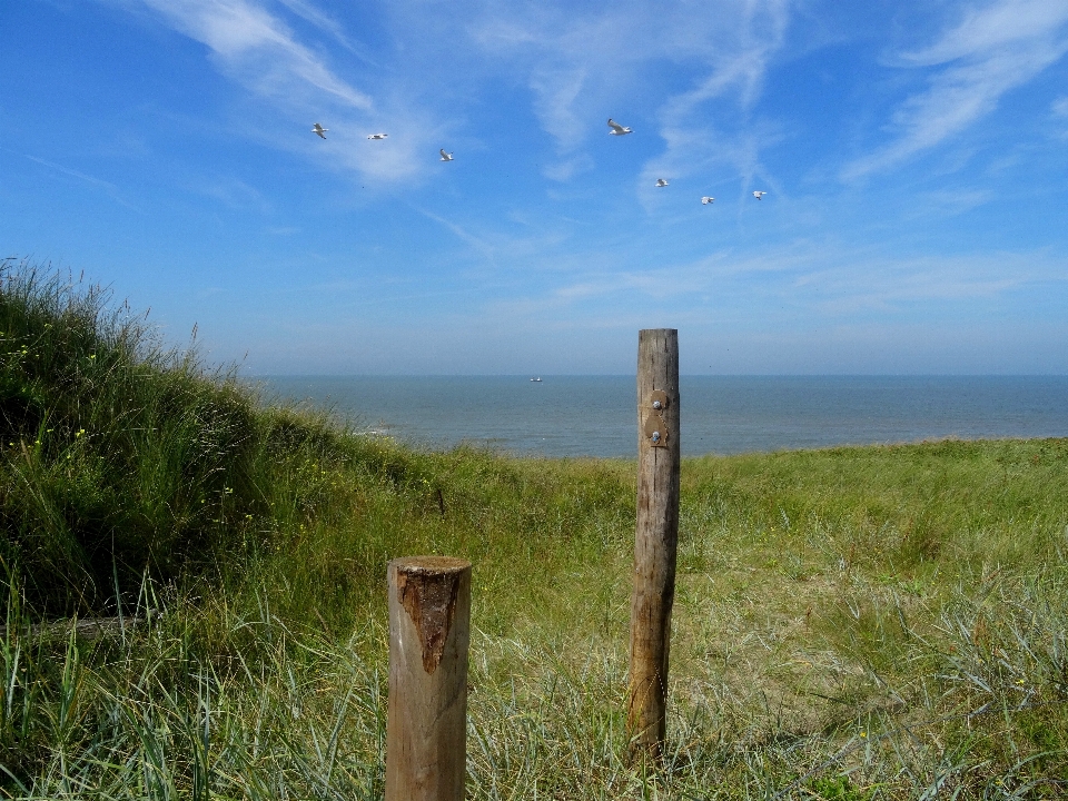 Beach landscape sea coast