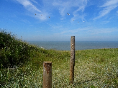 Beach landscape sea coast Photo