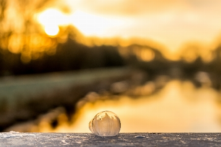 Landscape sea water nature Photo