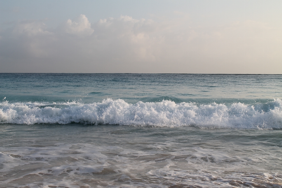 海滩 海 海岸 水