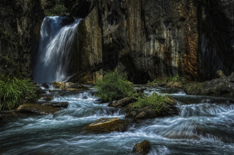 Landscape water nature forest